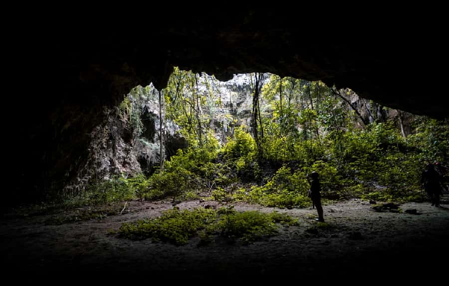 Yogyakarta: Jomblang and Pindul Cave Tour with Drone Shot - The 60-meter harness descent: safety, gear, and what to expect