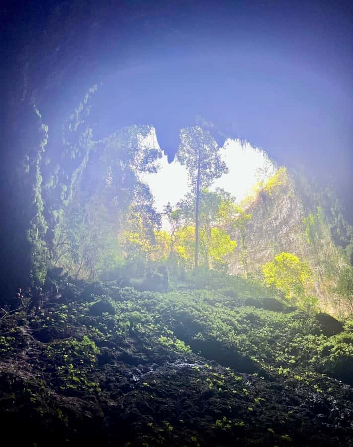 Yogyakarta : Jomblang Cave and Pindul Cave all inclusive - Key Points You Should Know Before You Go