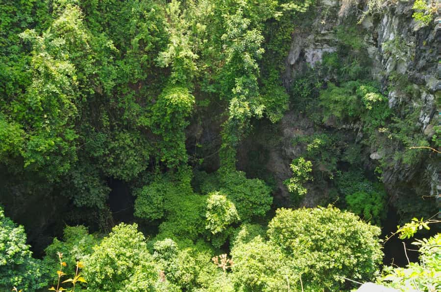 Yogyakarta: Jomblang Cave and Pindul Cave Tour - Logistics reality check: manual waits and Yogyakarta timing