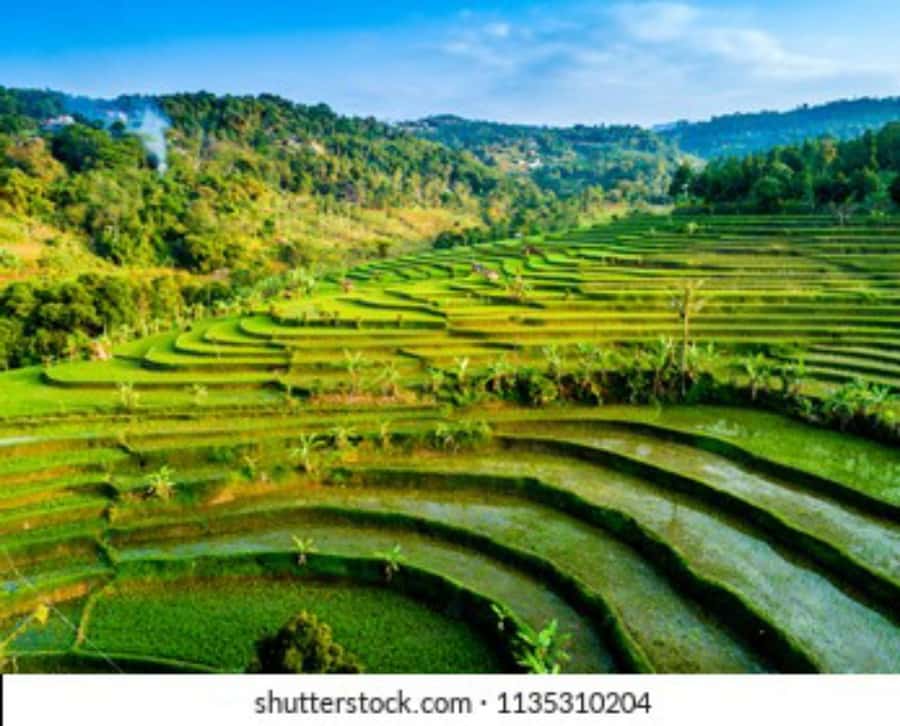 YOGYAKARTA; KEDUNG KAYANG WATERFALL AND SELOGRIYO TEMPLE. - Key Highlights You’ll Feel on the Day