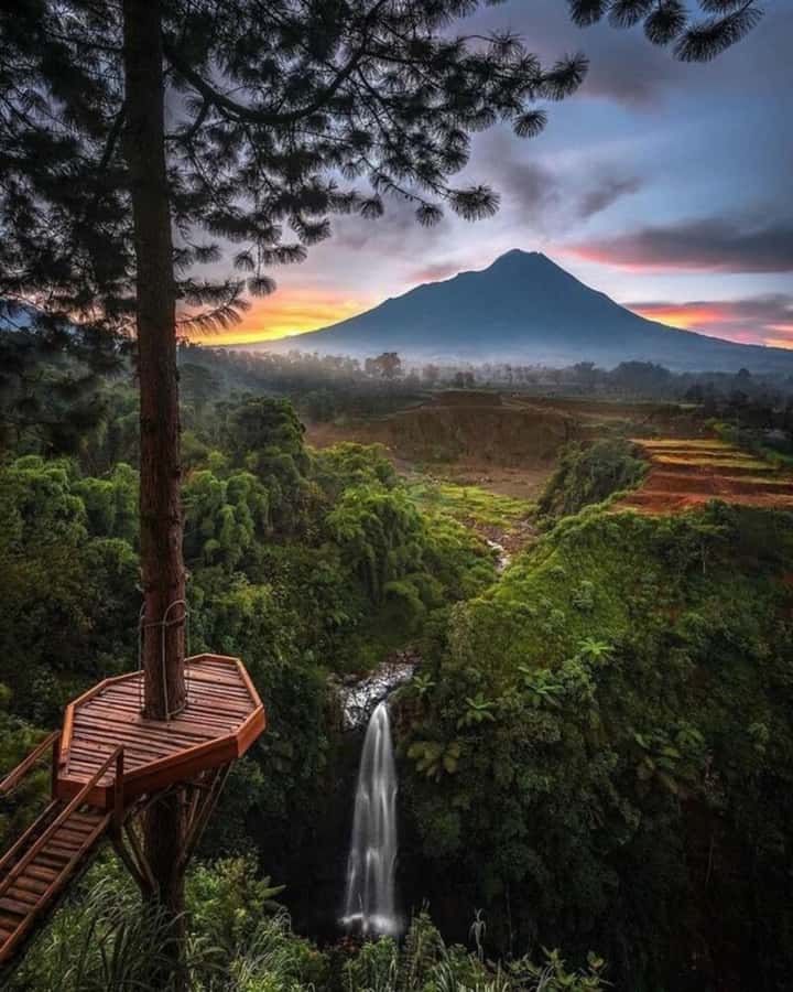 YOGYAKARTA; KEDUNG KAYANG WATERFALL AND SELOGRIYO TEMPLE. - Rice Terraces After the Falls: Walking That Feels Useful
