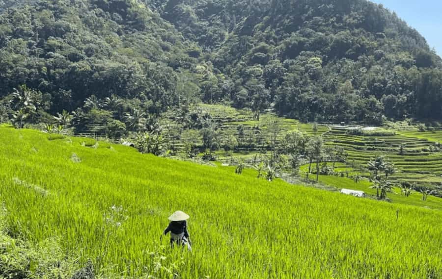 YOGYAKARTA; KEDUNG KAYANG WATERFALL AND SELOGRIYO TEMPLE. - Selogriyo Temple: When Stories Make the Visit Click