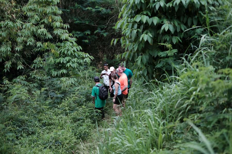 Yogyakarta : Mount Merapi Soft Trek and Botanic Village Tour - Key things that make this tour special