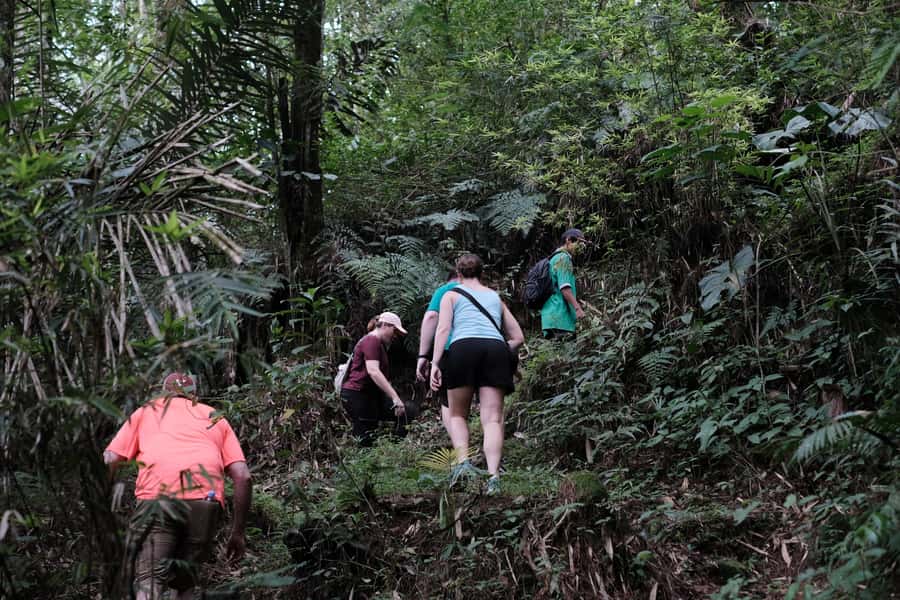 Yogyakarta : Mount Merapi Soft Trek and Botanic Village Tour - Setting off from Yogyakarta for Mount Merapi nature time