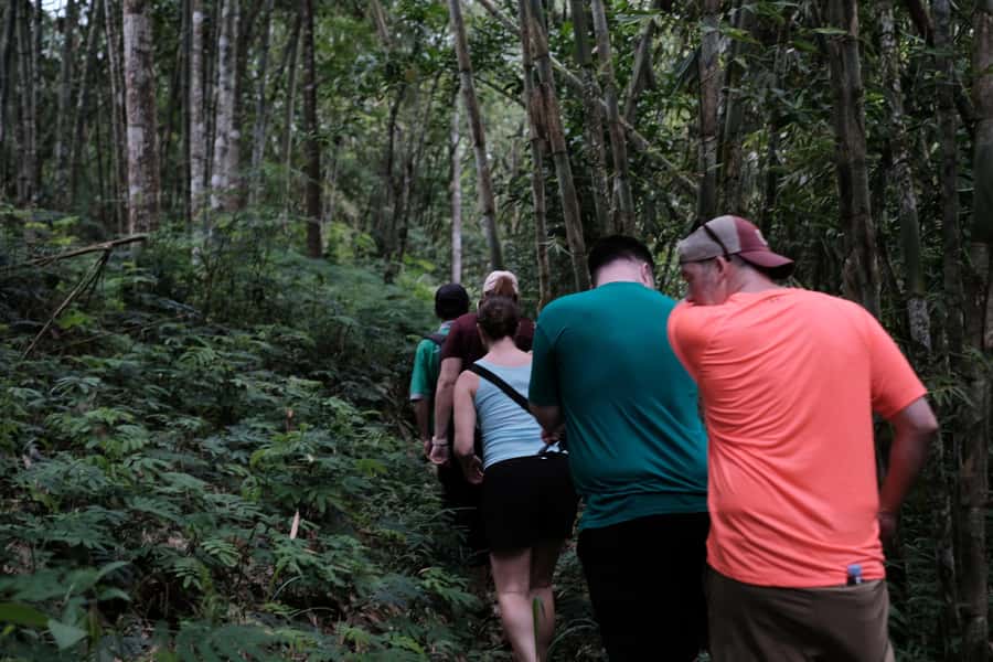 Yogyakarta : Mount Merapi Soft Trek and Botanic Village Tour - Orchid farms and botanic gardens you can actually talk about