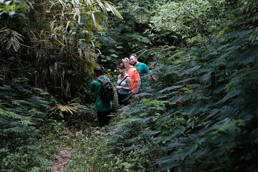 Yogyakarta : Mount Merapi Soft Trek and Botanic Village Tour - Merapi views: when clouds help you slow down