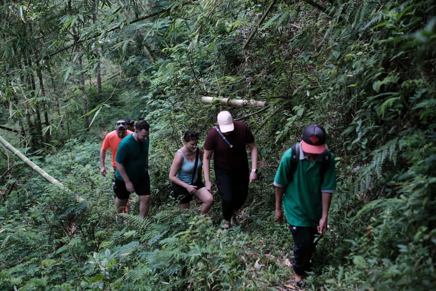 Yogyakarta : Mount Merapi Soft Trek and Botanic Village Tour - Logistics that affect your comfort (more than you’d think)