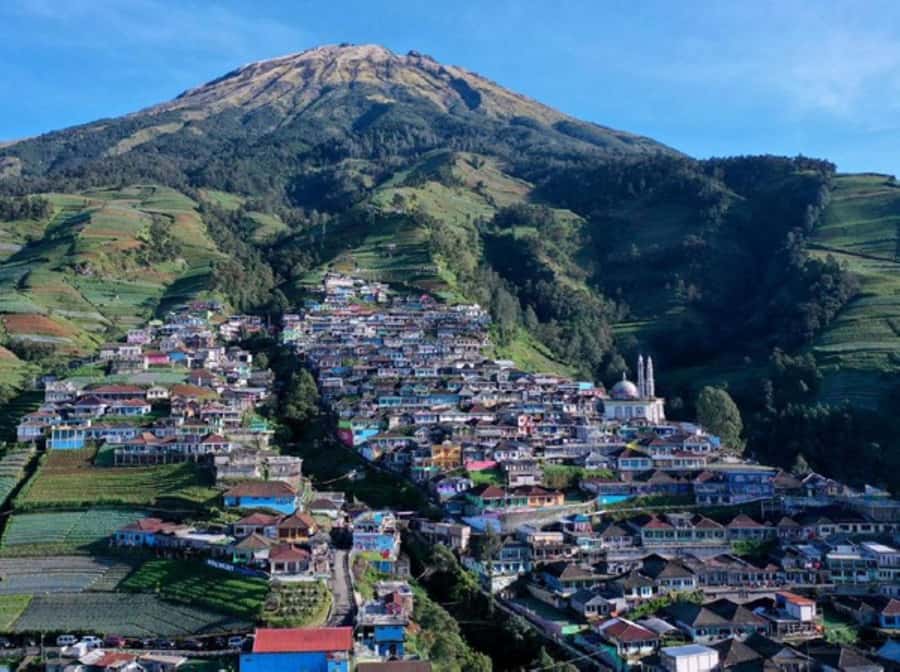 Yogyakarta : Nepal Van java & Kedung Kayang waterfall trip - The service side: English guide, small group vibe, and skip-the-ticket stress