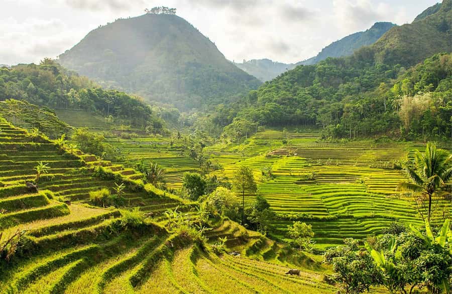 Yogyakarta: Private Customizable Guided Tour - Key Points You’ll Care About