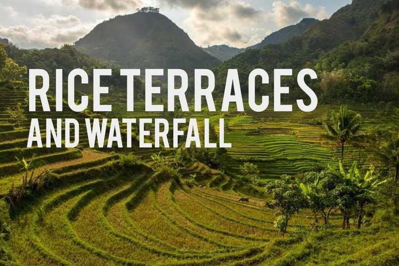 Yogyakarta Rice Terraces Hike and Kedungkayang Waterfall - Rice terraces trek: working farmland you can actually walk through