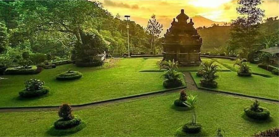Yogyakarta Rice Terraces Hike and Kedungkayang Waterfall - What to bring (and what to skip)