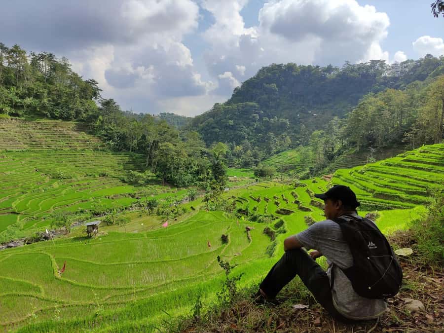 yogyakarta: Selogriyo, Marvel Amidst Java's Lush Terraces - Local Encounters: Stories That Make the Place Make Sense