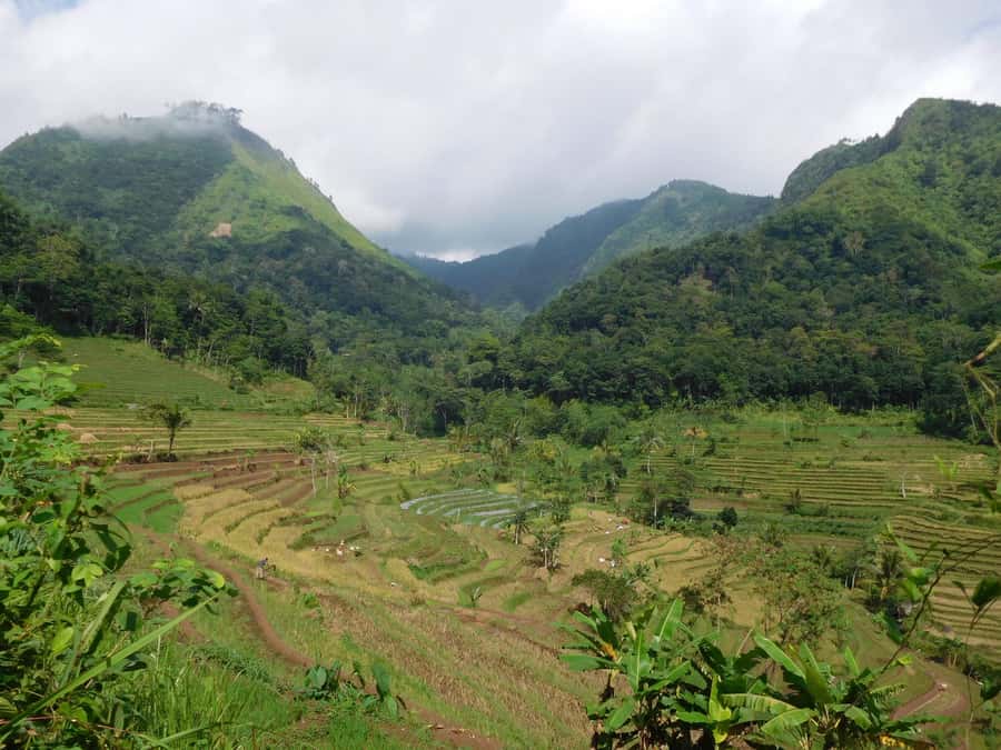 yogyakarta: Selogriyo, Marvel Amidst Java's Lush Terraces - The View Breaks: Where a Cafe Can Upgrade Your Descent