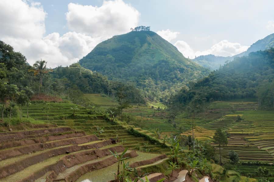 yogyakarta: Selogriyo, Marvel Amidst Java's Lush Terraces - The Drive From Yogyakarta (Or Borobudur) Sets the Tone