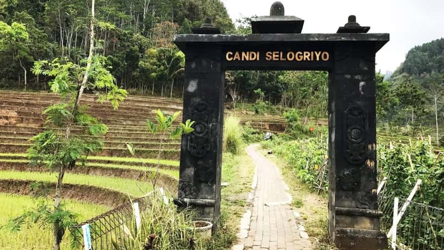Yogyakarta: Selogriyo Temple and Rice Terrace Soft Trekking - Reaching the steps: why Selogriyo Temple feels special