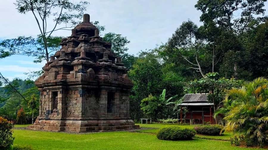 Yogyakarta: Selogriyo Temple and Rice Terrace Soft Trekking - Group size, timing, and comfort on a 6-hour day