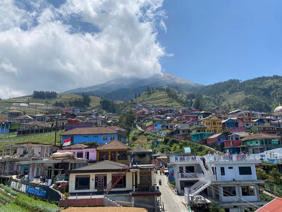 Yogyakarta :selogriyo temple, rice field trek& nepalvan java - Key points before you go