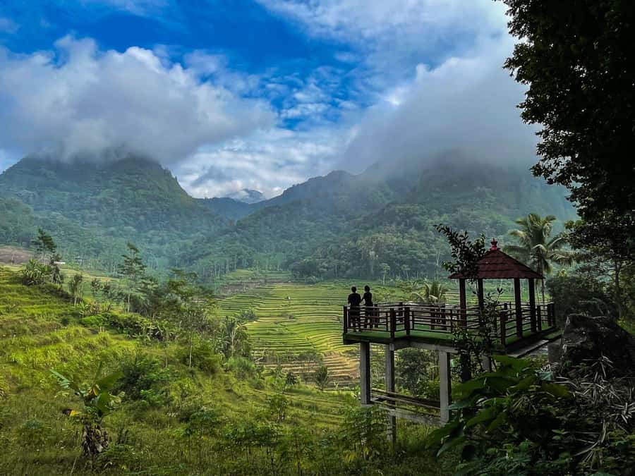Yogyakarta :selogriyo temple, rice field trek& nepalvan java - Should you book it?