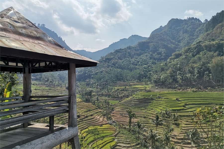 Yogyakarta: Selogriyo Temple, Rice Terraces & Waterfall Tour - Key highlights worth planning around