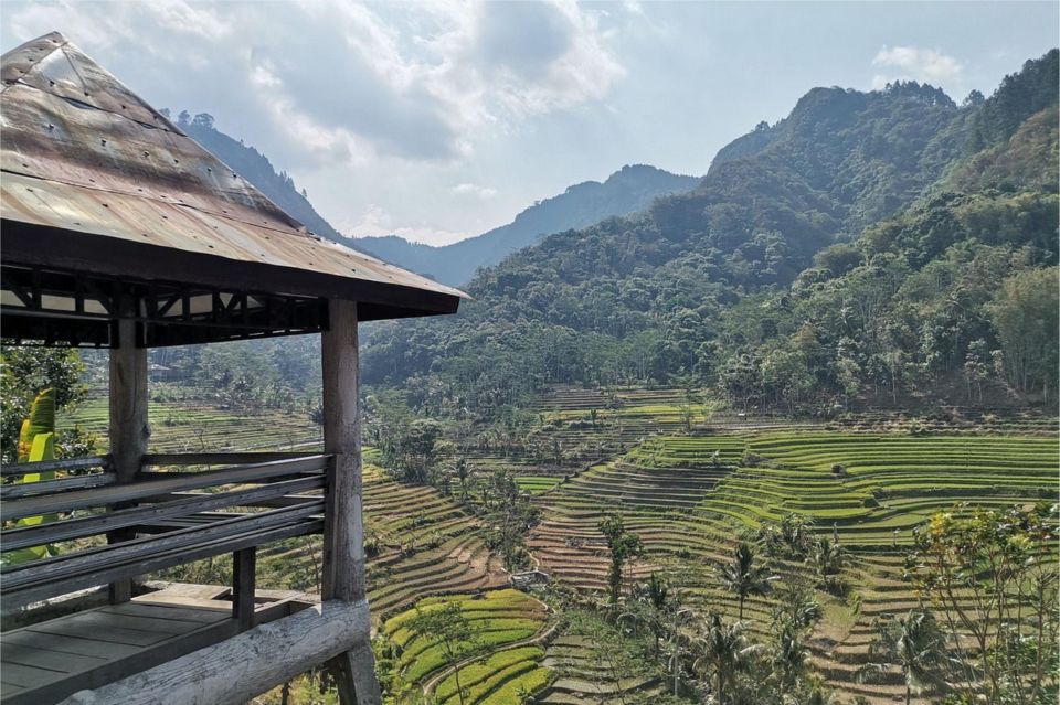 Yogyakarta: Selogriyo Temple, Rice Terraces & Waterfall Tour - Price and logistics: is $65 per person good value for this kind of day?