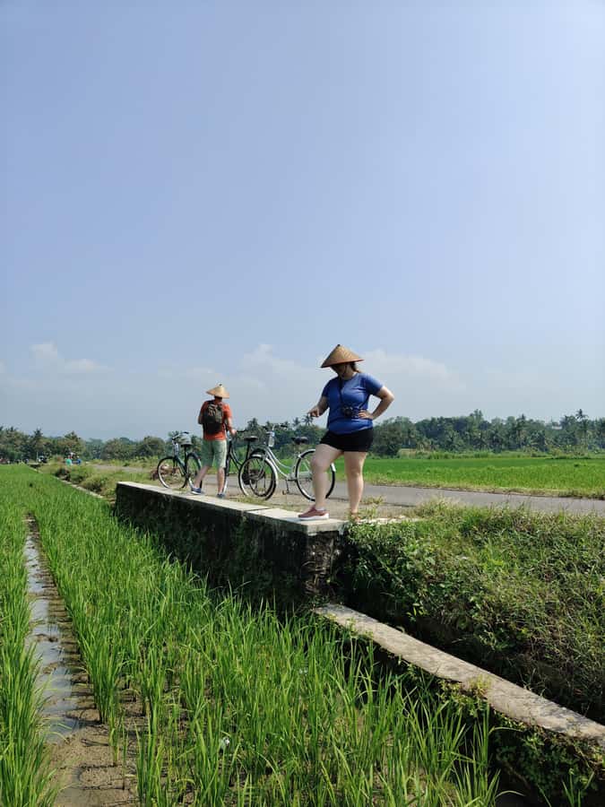 Yogyakarta: Tailor-Made Private Car Rental With Driver - Jomblang and Pindul Caves: A Different Pace Than Streets and Palaces