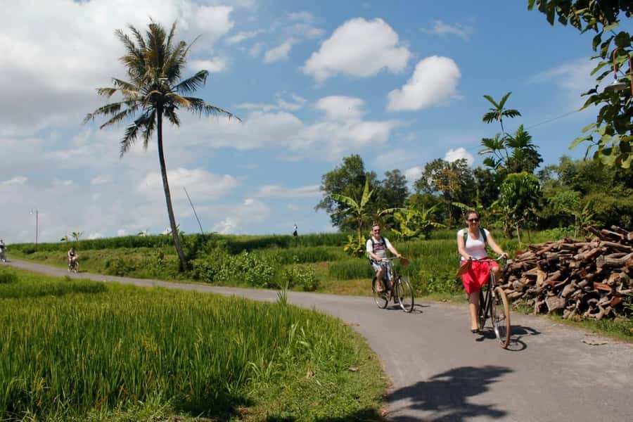 Yogyakarta: Traditional Village Bicycle Tour with Transfer - Price and value: what $110 per person is actually buying