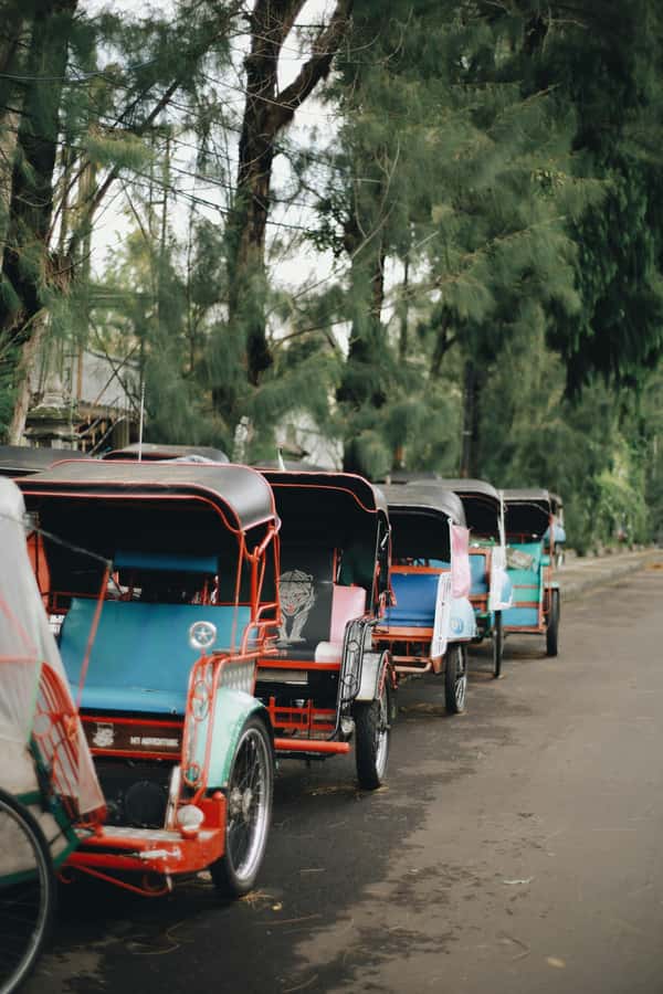 Yogyakarta : Walking Tour and Food Tasting inside Palace - Who should book this tour, and who should skip it