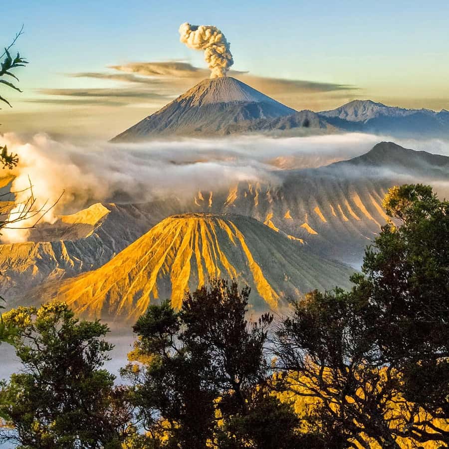 Yogyakrta to bali:Borobudur,prambanan,bromo,ijen,tumpak sewu - Mount Bromo Sunrise: The Jeep Ride and the Early Climb