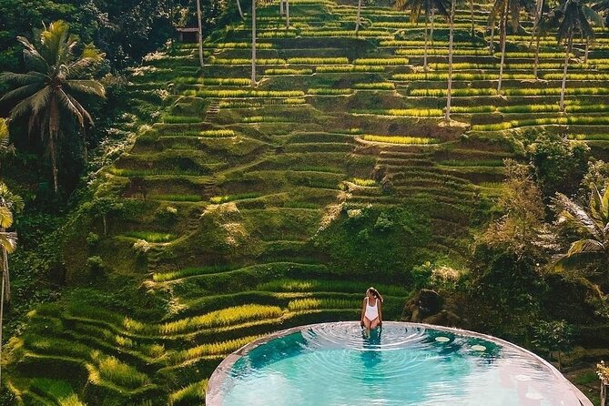 ️Bali All Inclusive Tour: Ubud - Tegalalang - Kintamani - Sacred Monkey Forest Sanctuary: temples plus lively macaques