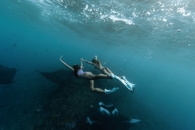 ️Nusa Penida by Private Boat - Snorkeling 4 spots, Swim with Mantas + Land Tour - Key highlights to know before you go
